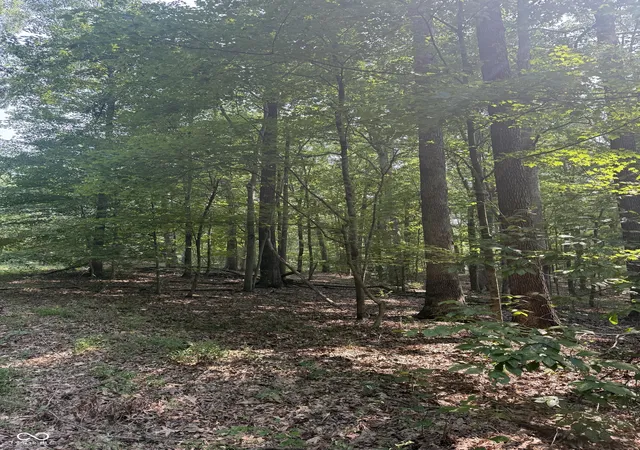 5th image of 9450 S Chapel Hill Rd, Heltonville, IN 47436 | MLS# 22119173