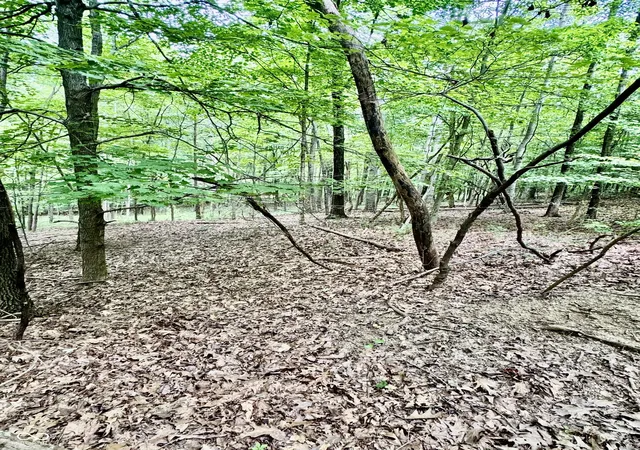 3rd image of 0 E Parkwood Dr, Martinsville, IN 46151 | MLS# 22119188