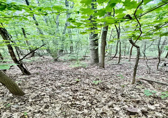 4th image of 0 E Parkwood Dr, Martinsville, IN 46151 | MLS# 22119188