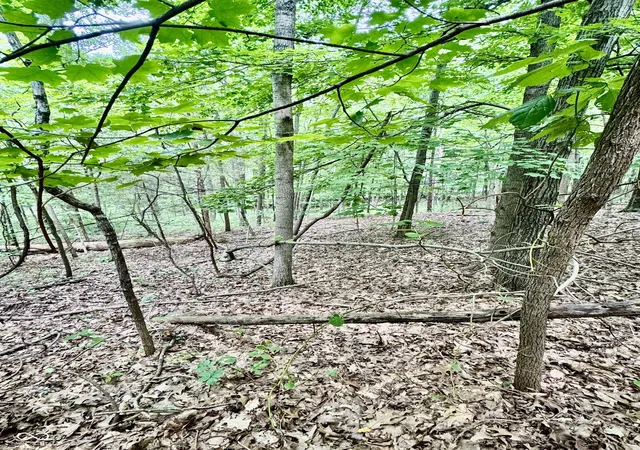5th image of 0 E Parkwood Dr, Martinsville, IN 46151 | MLS# 22119188