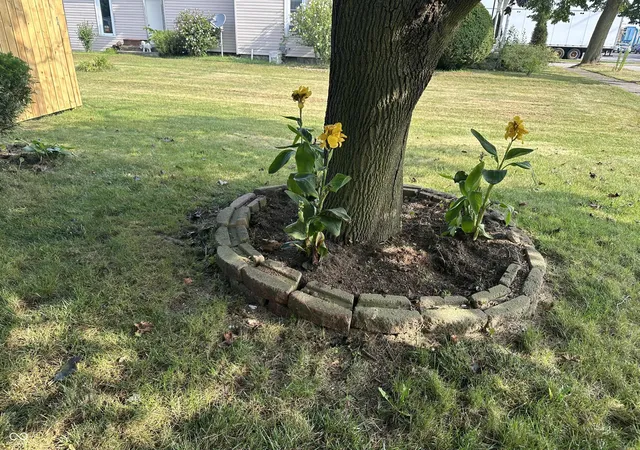 2nd image of 313 N West St, Milford, IN 46542 | MLS# 22119376