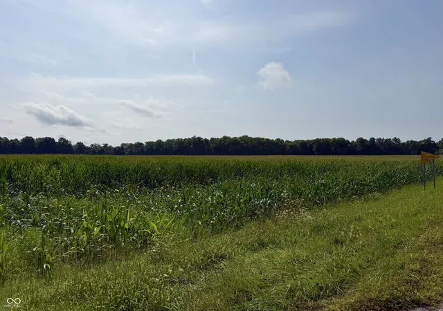 12th image of 0 W State Rd, Veedersburg, IN 47987 | MLS# 22119795