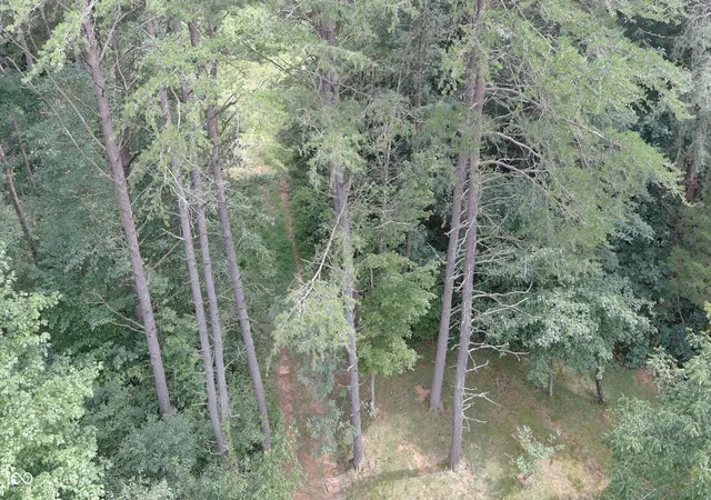 Photo 2 of Land for sale at 0 N Cr 575 W, Scipio, IN 47273 | MLS# 22120273 | Listing updated on 2026-08-17
