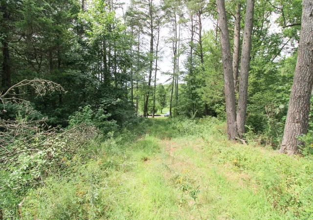 Photo 3 of Land for sale at 0 N Cr 575 W, Scipio, IN 47273 | MLS# 22120273 | Listing updated on 2026-08-17