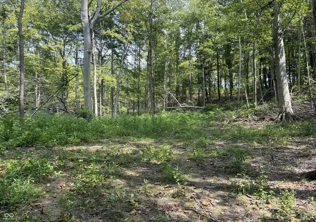 Photo 2 of Land for sale at 0 Pumpkinvine Hl Rd, Martinsville, IN 46151 | MLS# 22120732 | Listing updated on 2026-08-31