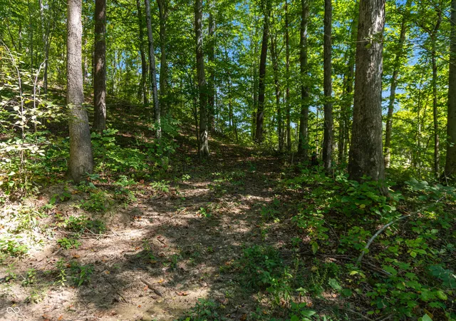 Photo 3 of Land for sale at 0 Pumpkinvine Hl Rd, Martinsville, IN 46151 | MLS# 22120732 | Listing updated on 2026-09-21