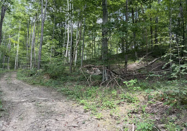 Photo 3 of Land for sale at 0 Pumpkinvine Hl Rd, Martinsville, IN 46151 | MLS# 22120732 | Listing updated on 2026-08-31