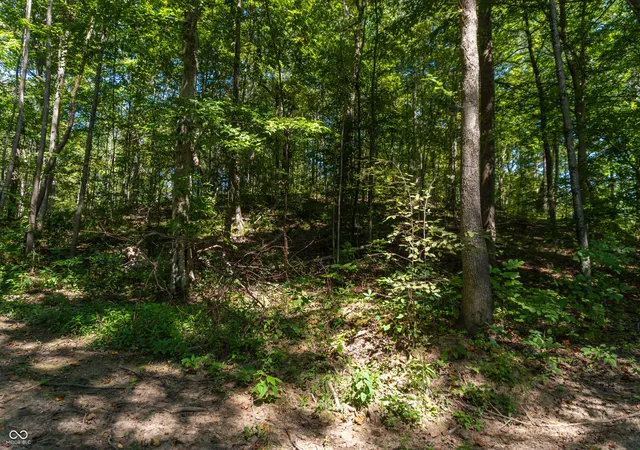 Photo 3 of Land for sale at 0 Pumpkinvine Hl Rd, Martinsville, IN 46151 | MLS# 22120732 | Listing updated on 2026-10-26