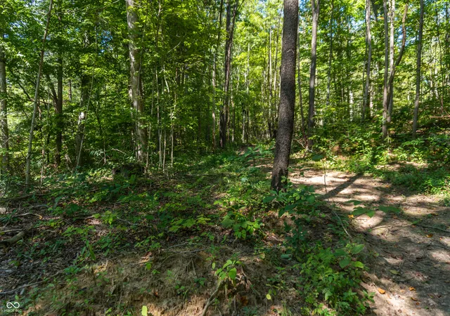 Photo 4 of Land for sale at 0 Pumpkinvine Hl Rd, Martinsville, IN 46151 | MLS# 22120732 | Listing updated on 2026-10-26