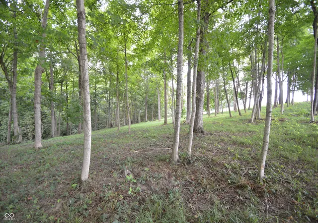 Photo 4 of Land for sale at Tract W J County Rd 675 N, North Vernon, IN 47265 | MLS# 22120809 | Listing updated on 2026-08-18