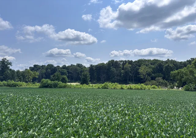Photo 1 of Land for sale at 4436 E County Rd 1050 N, Farmersburg, IN 47850 | MLS# 22120986 | Listing updated on 2026-08-19