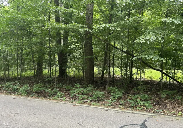 4th image of 0 Cordry Dr, Nineveh, IN 46164 | MLS# 22121106