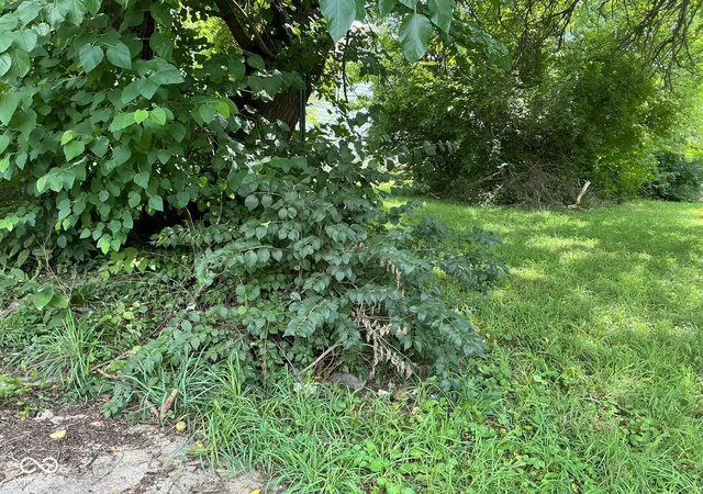 Photo 3 of Land for sale at 1030 W 29th Street, Indianapolis, IN 46208 | MLS# 22121238 | Listing updated on 2026-08-24