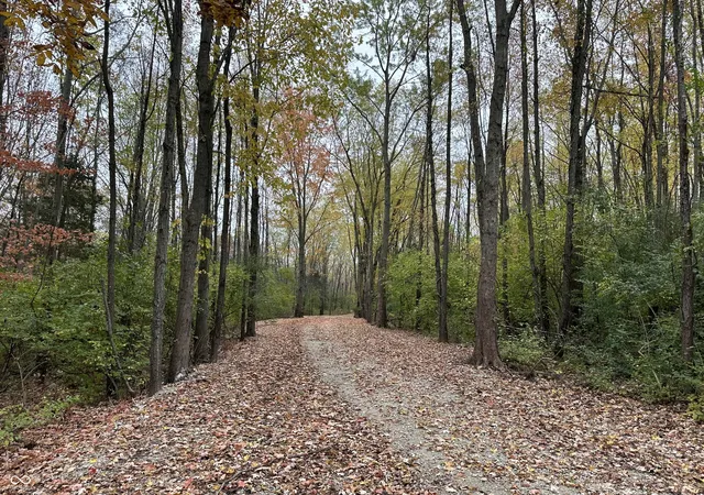 Photo 3 of Land for sale at 0 State Rd 39, Clayton, IN 46118 | MLS# 22121246 | Listing updated on 2026-08-19