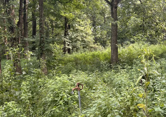 Photo 4 of Land for sale at 4799 N Fourseasons Rd, Rockville, IN 47872 | MLS# 22122126 | Listing updated on 2026-08-26