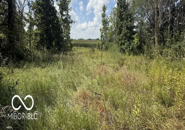 Photo 4 of Land for sale at 3031 N 900 East, Whitestown, IN 46075 | MLS# 22124484 | Listing updated on 2026-09-04