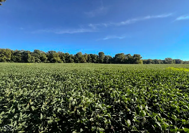 Photo 3 of Land for sale at 0 W Cr 600 N, Scipio, IN 47273 | MLS# 22124667 | Listing updated on 2026-10-08