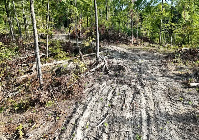 Photo 3 of Sale Pending at 3 N County Rd 500 W, Freetown, IN 47235 | MLS# 22125303 | Listing updated on 2026-09-19