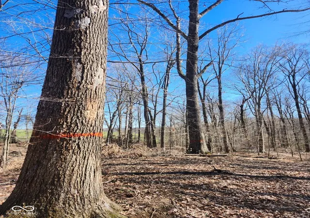Photo 4 of Land for sale at 7746 N Lydy Rd, Bloomington, IN 47408 | MLS# 22127538 | Listing updated on 2026-09-22