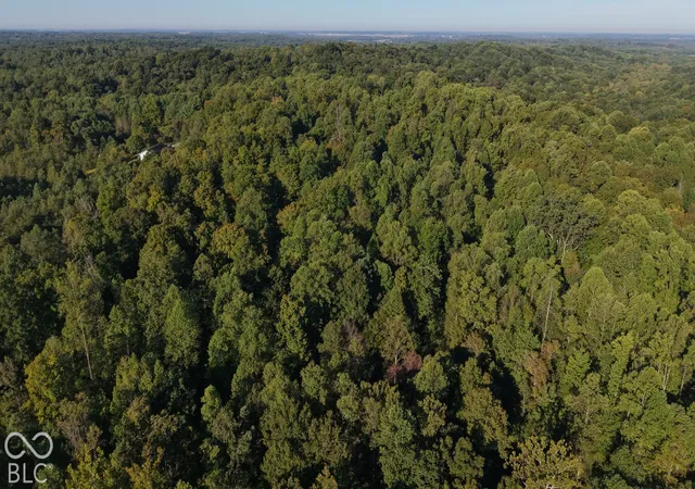 Photo 4 of Sale Pending at 00 Kelly Branch Rd, Bloomfield, IN 47424 | MLS# 22127774 | Listing updated on 2026-10-05