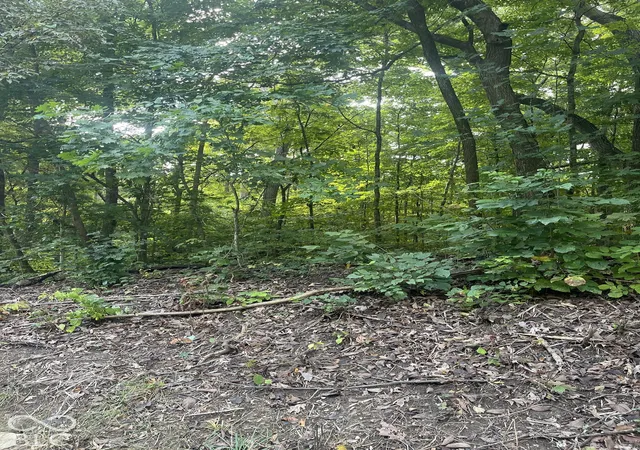 Land for sale at 00 E State Rd 252, Franklin, IN 46131 | MLS# 22128075