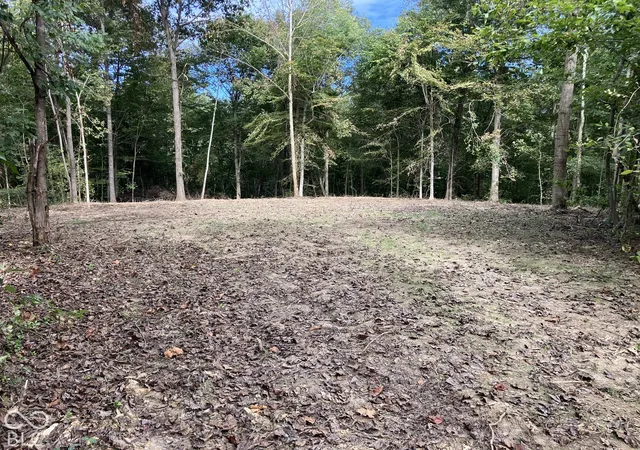 Photo 1 of Land for sale at 0 E County Rd 700 N, Seymour, IN 47274 | MLS# 22128133 | Listing updated on 2026-09-25