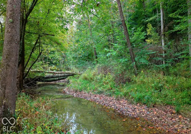 Land for sale at Xx Rinnie Seitz Rd, Nashville, IN 47448 | MLS# 22129229