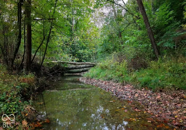 Photo 2 of Land for sale at Xx Rinnie Seitz Rd, Nashville, IN 47448 | MLS# 22129229 | Listing updated on 2026-10-06