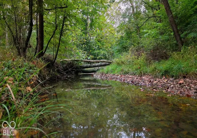 Photo 3 of Land for sale at Xx Rinnie Seitz Rd, Nashville, IN 47448 | MLS# 22129229 | Listing updated on 2026-10-06