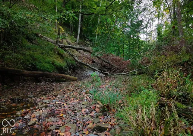 Photo 4 of Land for sale at Xx Rinnie Seitz Rd, Nashville, IN 47448 | MLS# 22129229 | Listing updated on 2026-10-06