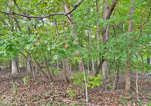Photo 3 of Land for sale at 0 Sunderland Dr, Martinsville, IN 46151 | MLS# 22129437 | Listing updated on 2026-10-03