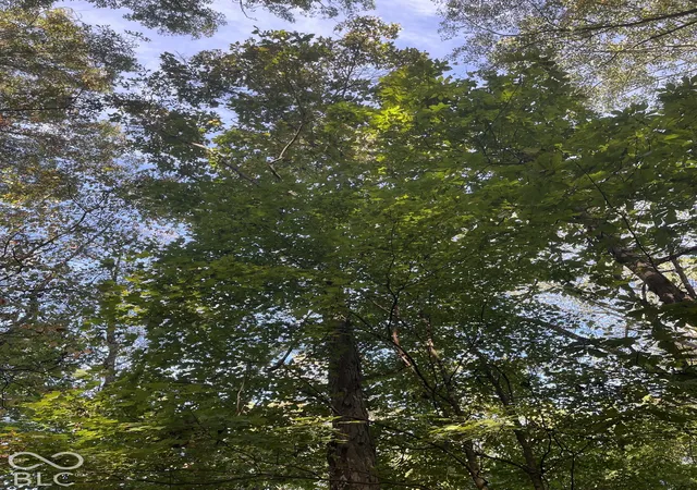 Photo 3 of Land for sale at Tract 6 Sunnyside Rd, Deputy, IN 47230 | MLS# 22129705 | Listing updated on 2026-10-05