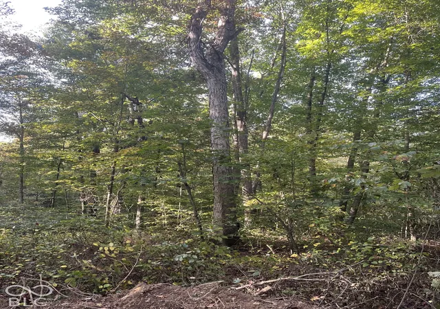 Photo 3 of Land for sale at Tract 6 Sunnyside Rd, Deputy, IN 47230 | MLS# 22129705 | Listing updated on 2026-10-05