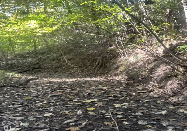 Photo 4 of Land for sale at Tract 6 Sunnyside Rd, Deputy, IN 47230 | MLS# 22129705 | Listing updated on 2026-10-05