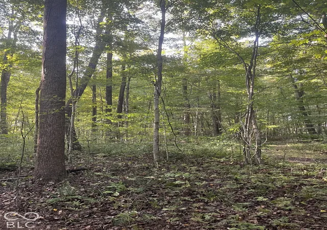 Photo 2 of Land for sale at Tract 7 Sunnyside Rd, Deputy, IN 47230 | MLS# 22129706 | Listing updated on 2026-10-05