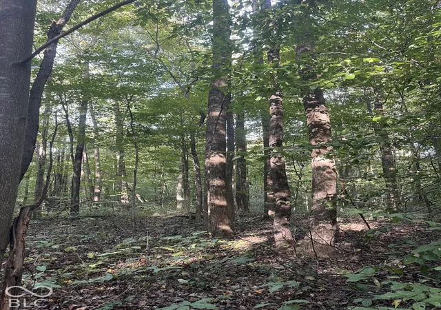 Photo 3 of Land for sale at Tract 7 Sunnyside Rd, Deputy, IN 47230 | MLS# 22129706 | Listing updated on 2026-10-05