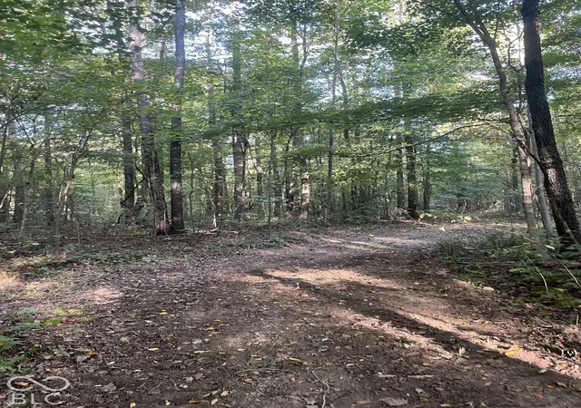 Photo 2 of Land for sale at Tract 8 Sunnyside Rd, Deputy, IN 47230 | MLS# 22129707 | Listing updated on 2026-10-05