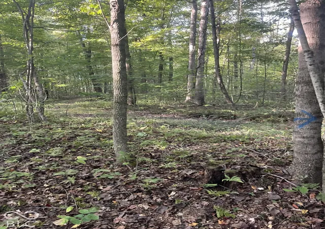 Photo 3 of Land for sale at Tract 8 Sunnyside Rd, Deputy, IN 47230 | MLS# 22129707 | Listing updated on 2026-10-05