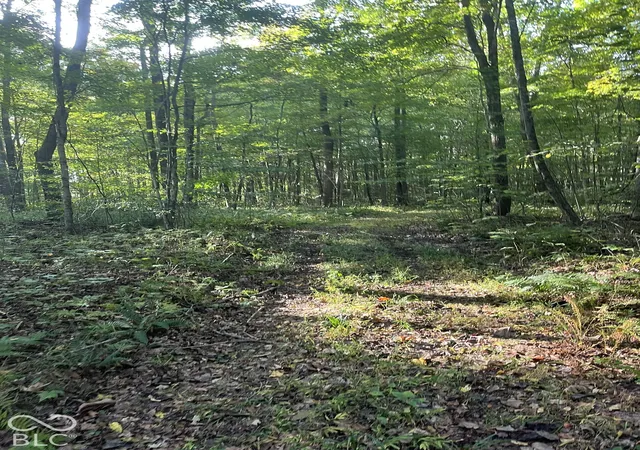 Photo 3 of Land for sale at Tract 8 Sunnyside Rd, Deputy, IN 47230 | MLS# 22129707 | Listing updated on 2026-10-05