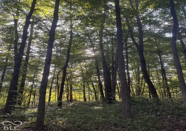 Photo 2 of Land for sale at Tract 9 Sunnyside Rd, Deputy, IN 47230 | MLS# 22129708 | Listing updated on 2026-10-05