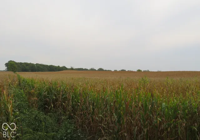 Photo 3 of Land for sale at 00 N 275 Road W, Crawfordsville, IN 47933 | MLS# 22130005 | Listing updated on 2026-10-06