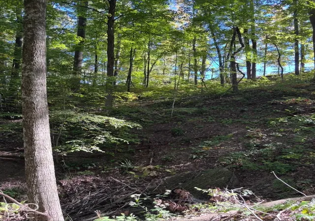 Photo 3 of Land for sale at 7617 Hummingbird Dr, Nineveh, IN 46164 | MLS# 22130060 | Listing updated on 2026-10-08