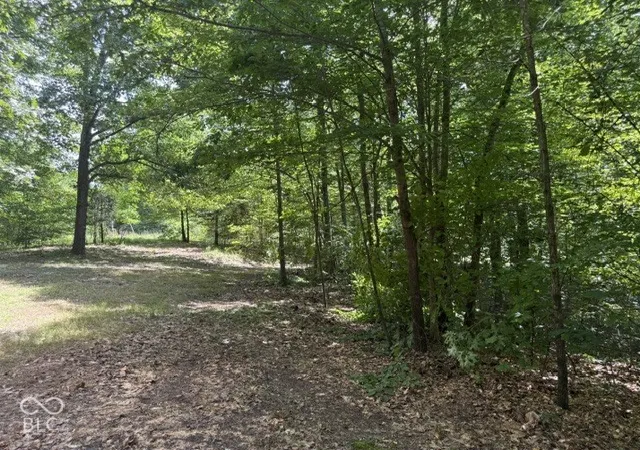 Photo 1 of Land for sale at 0 Buffalo Pike Rd, Freetown, IN 47235 | MLS# 22130153 | Listing updated on 2026-10-08