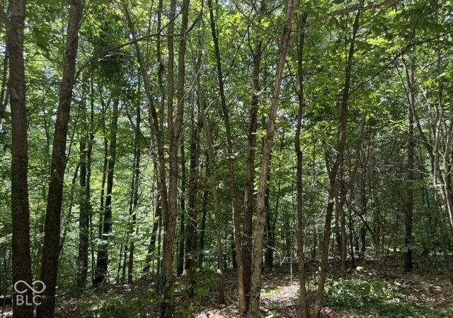 Photo 3 of Land for sale at 0 Buffalo Pike Rd, Freetown, IN 47235 | MLS# 22130153 | Listing updated on 2026-10-08