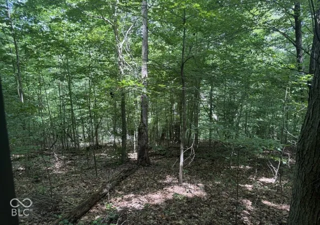 Photo 3 of Land for sale at 0 Buffalo Pike Rd, Freetown, IN 47235 | MLS# 22130153 | Listing updated on 2026-10-08