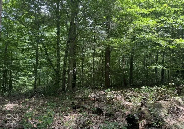 Photo 4 of Land for sale at 0 Buffalo Pike Rd, Freetown, IN 47235 | MLS# 22130153 | Listing updated on 2026-10-08
