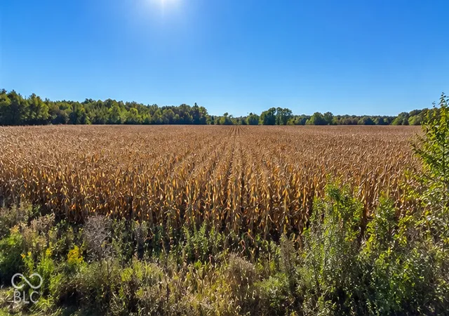 Land for sale at 00 S Cataract, Spencer, IN 47460 | MLS# 22132685