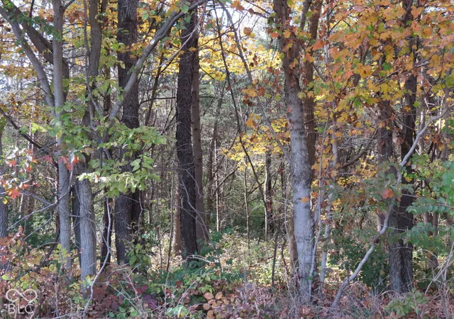 Photo 2 of Land for sale at 00 E Sr 46, Hope, IN 47246 | MLS# 22133420 | Listing updated on 2026-10-29