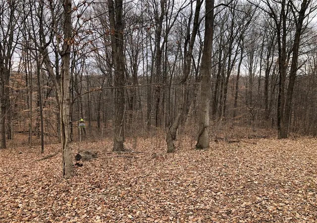 Photo 2 of Land for sale at 3520 Morgan Oaks Ct, Martinsville, IN 46151 | MLS# 21893794 | Listing updated on 2025-09-25