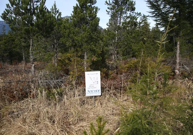 5th image of L8 Olsen Subdivision, Petersburg, AK 99833 | MLS# 14-15718